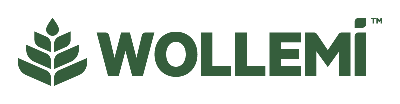Wollemi_Logo
