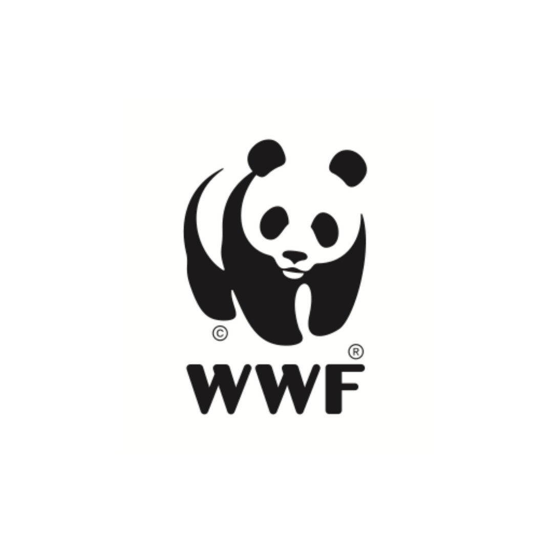 WWF (1)-4